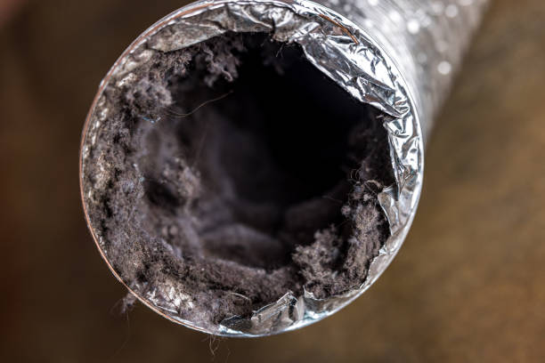 Best Air Duct Cleaning Near Me  in Aldan, PA