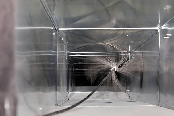 Best Air Duct Mold Removal  in Aldan, PA