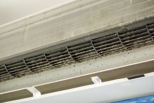Best Affordable Duct Cleaning Services  in Aldan, PA